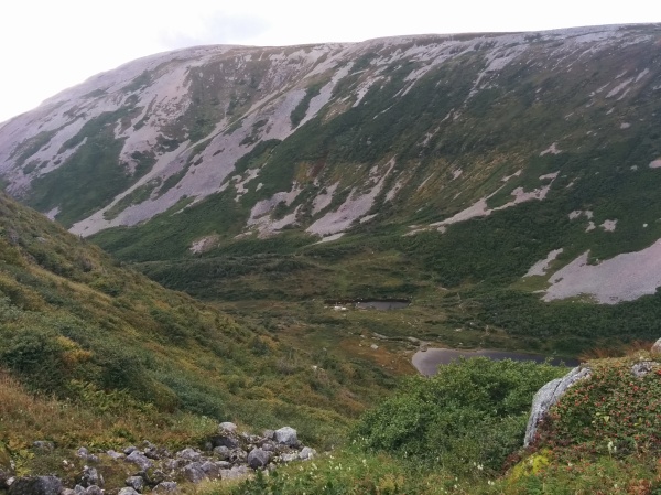 Gros Morne mountain straight ahead and Ferry Gulch campground by the pond below.