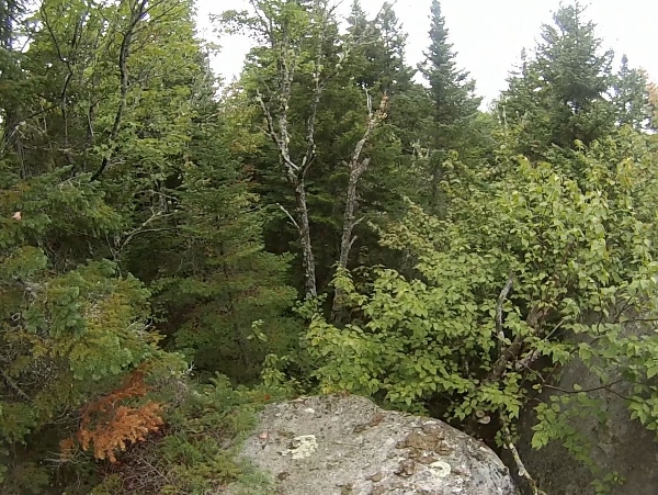 Caverley Lookout (600x451)