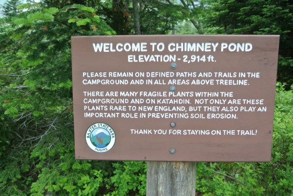 DSC_3975 (4) (1024x685)