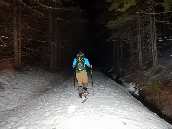 DSCN0367 (800x600) (600x450)