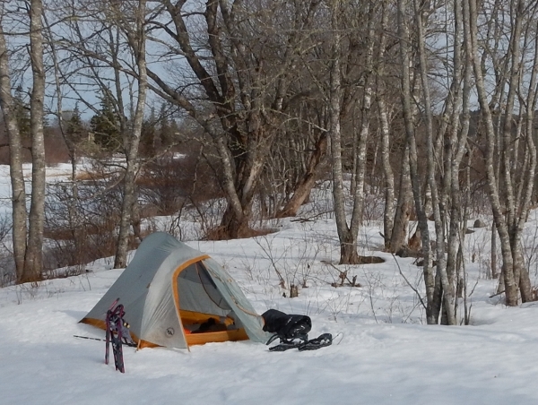 DSCN0374 (800x602) (600x452)