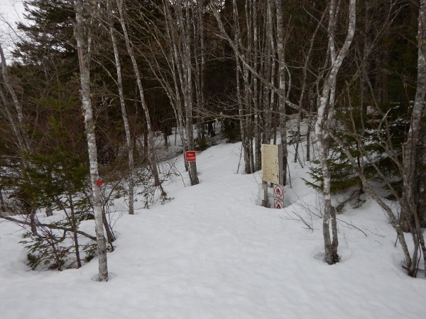 DSCN0378 (800x600) (600x450)