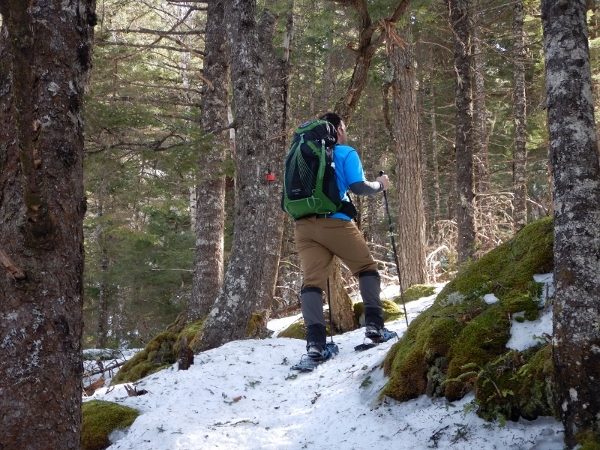 DSCN0391 (800x600) (600x450)