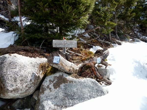 DSCN0400 (800x600) (600x450)