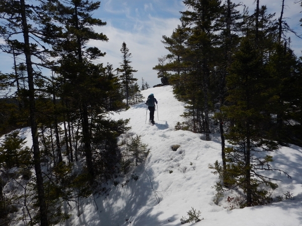 DSCN0406 (800x600) (600x450)