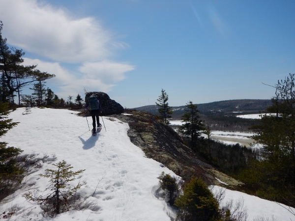 DSCN0460 (800x600) (600x450)