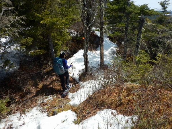 DSCN0465 (800x600) (600x450)