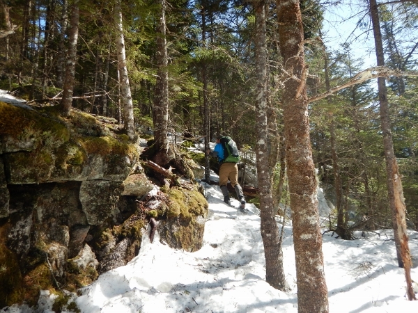 DSCN0480 (800x600) (600x450)