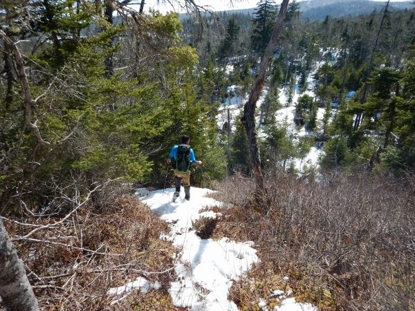 DSCN0505 (800x600) (600x450)