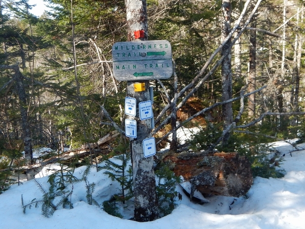 DSCN0520 (800x600) (600x450)