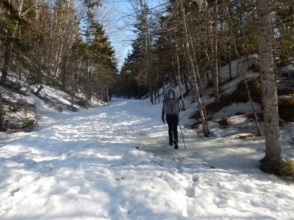 DSCN0529 (800x600) (600x450)