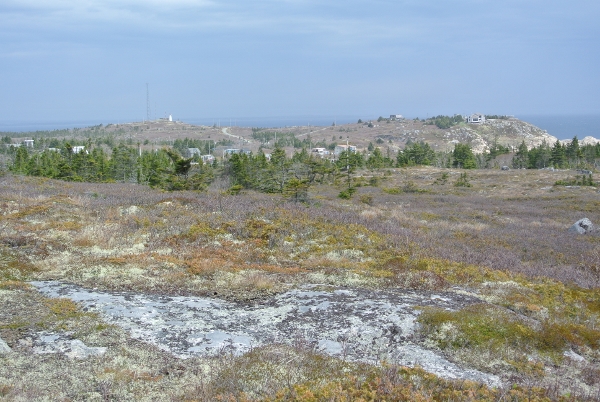 1 DSC_0008 (600x402)