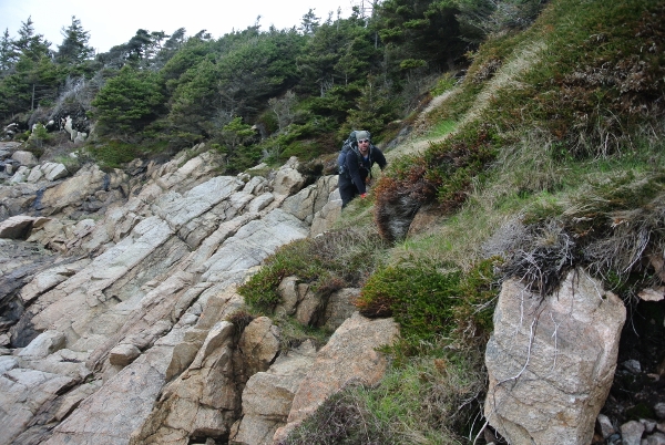 10 DSC_0037 (600x402)