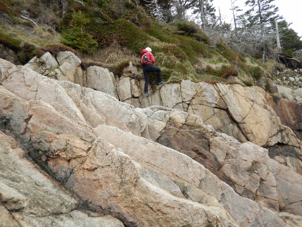 12 DSCN0855 (600x450)