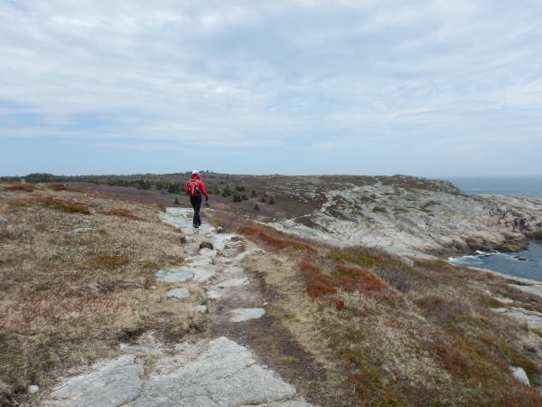 13 DSCN0868 (600x450)