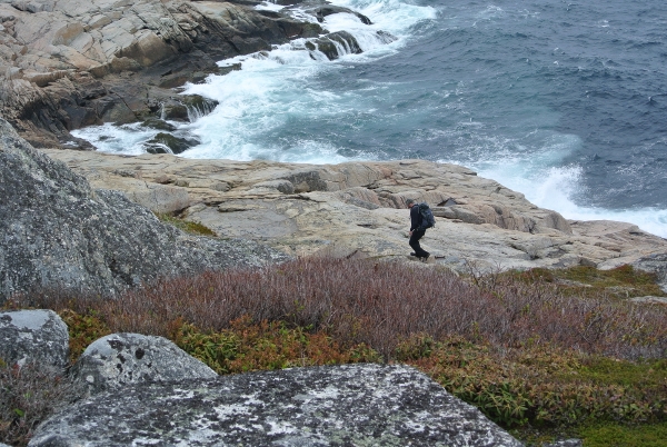 14 DSC_0047 (600x402)