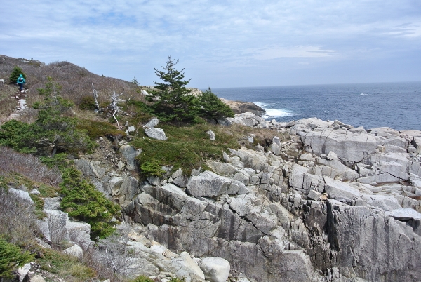 16 DSC_0053 (600x402)