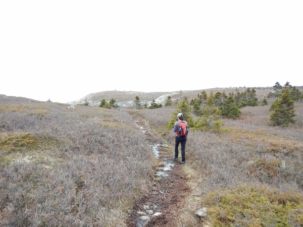 3 DSCN0839 (600x450)