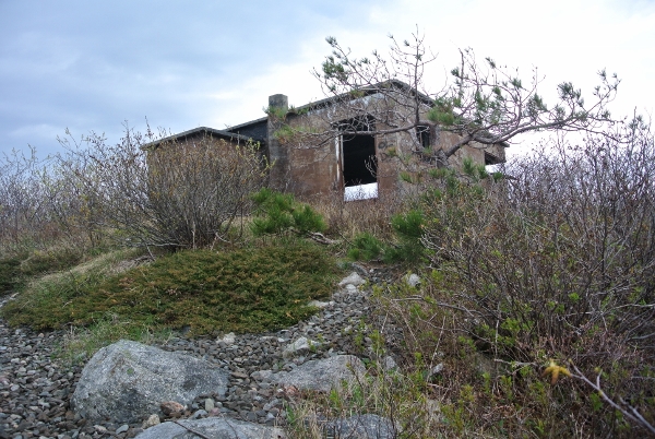 4 DSC_0015 (600x402)