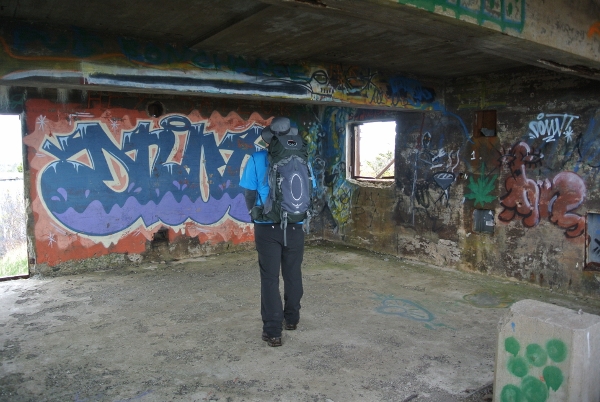 5 DSC_0016 (600x402)