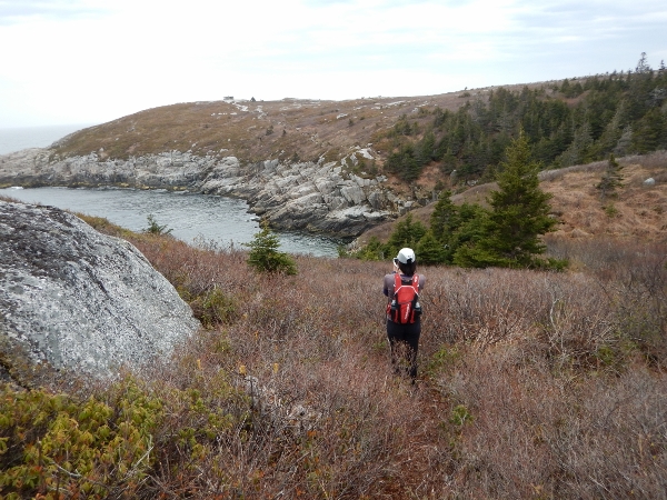 6 DSCN0841 (600x450)