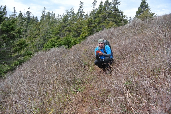 7 DSC_0022 (600x402)