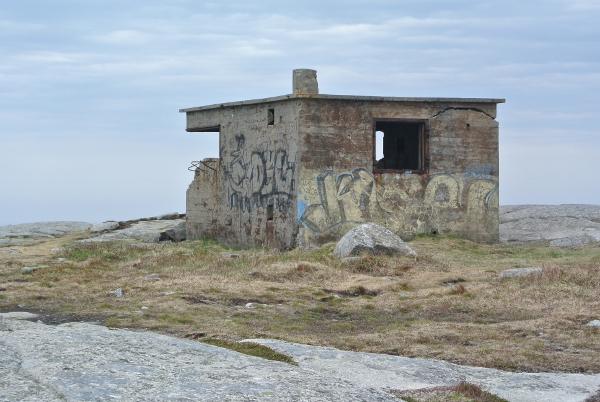 9 DSC_0031 (600x402)