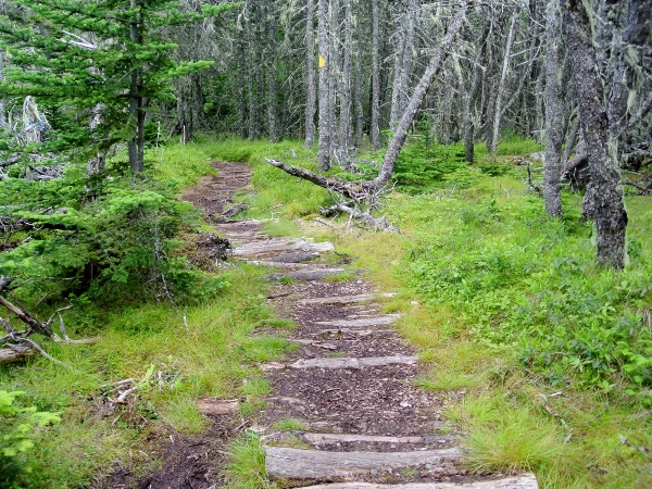 DSC_1103 (2000x1500) (600x450)