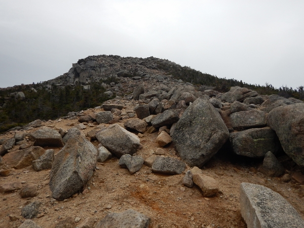 2015-11-06 Baxter South Turner (6) (600x450)