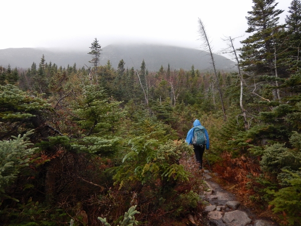 2015-11-07 Baxter Cathedral Attempt (1) (600x450)