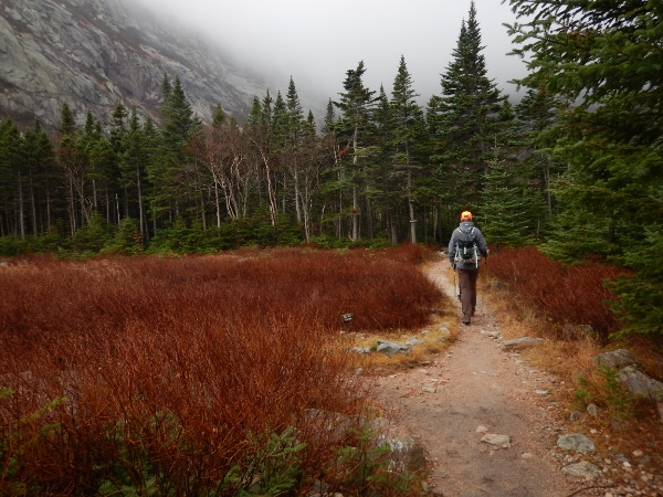 2015-11-07 Baxter Cathedral Attempt (3) (600x450)