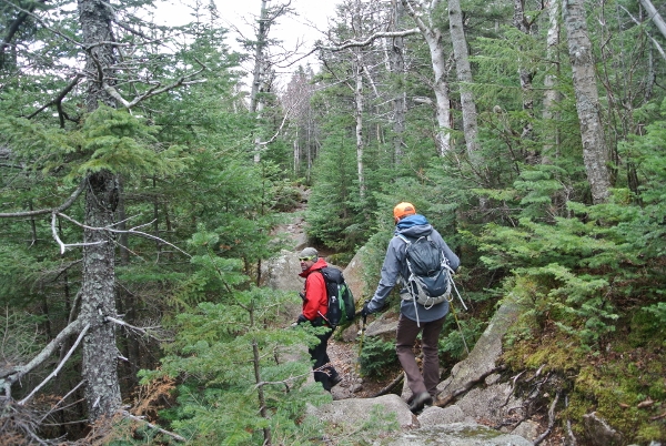 2015-11-07 Baxter Cathedral Attempt (35) (600x402)