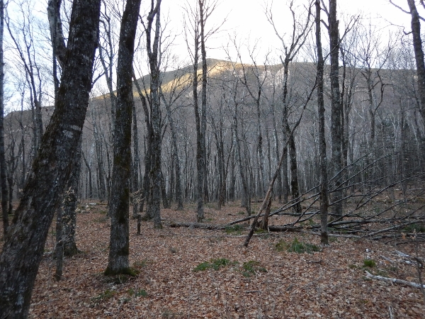 2015-11-08 Baxter Coe South Brother (1) (600x450)