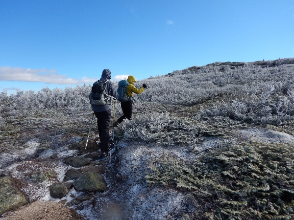 2015-11-08 Baxter Coe South Brother (33) (600x450)