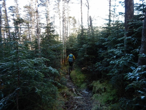 2015-11-08 Baxter Coe South Brother (50) (600x450)